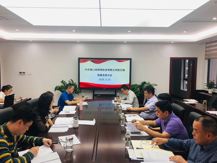 市金控公司召開(kāi)2018年度黨支部書(shū)記述職評(píng)議大會(huì)暨黨支部換屆選舉黨員大會(huì)